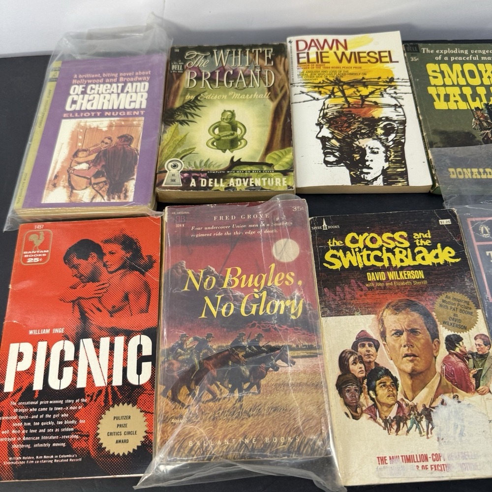 Vintage Paperback Fiction Lot Picnic Elie Wiesel Noir Mystery Drama Pulp - Picture 2 of 4